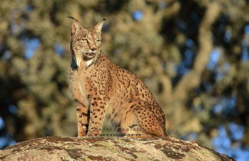 La Casa del Paseo - Foto 31