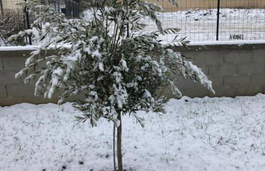 Villa MaLou - Foto 45