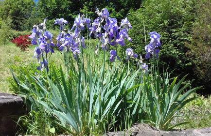 Anvil Cottage - Foto 28