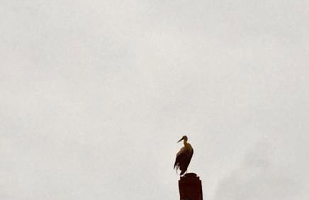 Kaschubische-Schweiz-Oase-der-Entspannung - Foto 35