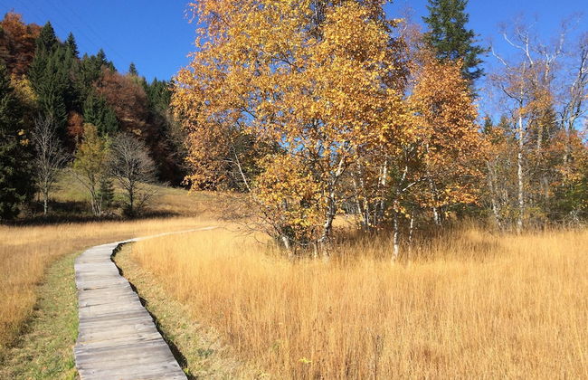 Montreux holiday home - Foto 36