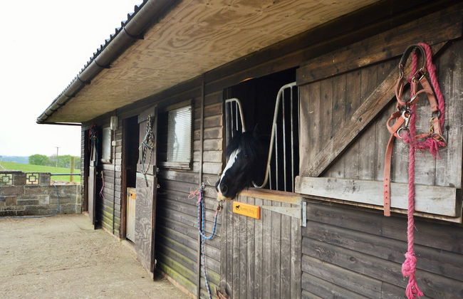 Queen Bower Farm Lodge - Foto 22