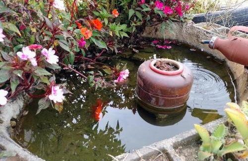 Chácara Chiafarelli - Photo 24