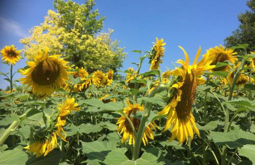 Tuscany Nature Relax - Photo 20
