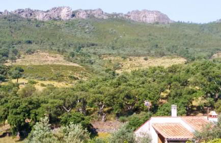 Cozy studio in Valencia de Alcántara 25 m² lovely garden - Foto 27