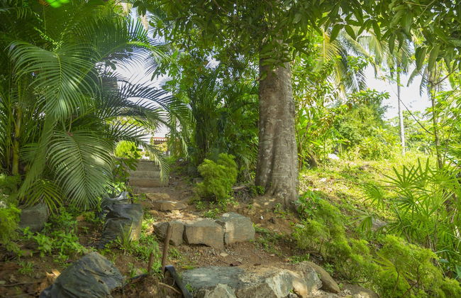 Meadow Villa - Galle - Photo 24