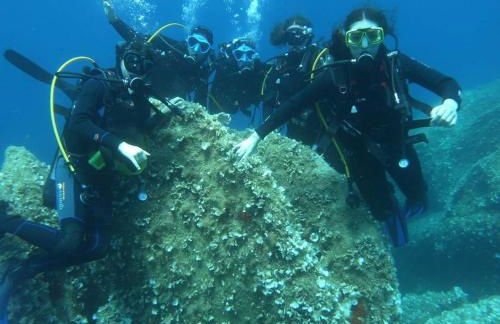 Appartamento Residenziale Trilocale Aresula San Teodoro - Foto 22