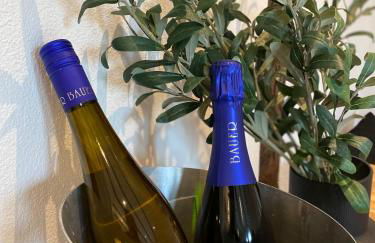 Sonnenlay Lounge - Studio & Ferienhaus - Foto 55