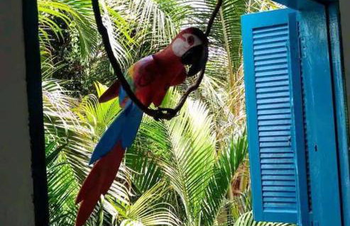 Casa Ilhabela a cinco minutos do centro - Foto 15