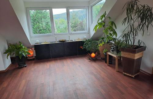 Paradiesgarten am Saaleufer - Foto 22