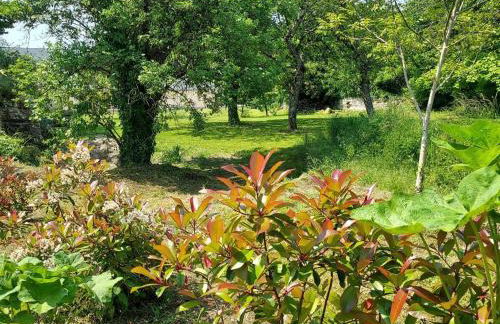 Gîte de charme avec jardin au cœur des châteaux, WiFi, parking inclus - FR-1-381-543 - Foto 7
