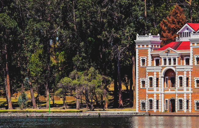 Champs de lavande, Hacienda de Chautla et Val'Quirico - Photo 6