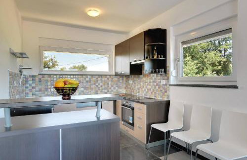 Holiday Home Dvori - Foto 19