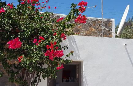 Flora's beach and pool villa in Syros - Foto 34