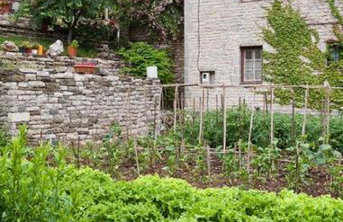 Astra Inn - Photo 19