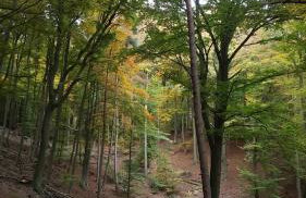 FeWo Schlossblick Marburg - Foto 21