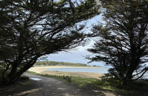 Studio Ty Cool, jardin 200m carré, 50m plage, wifi, parking - Foto 12