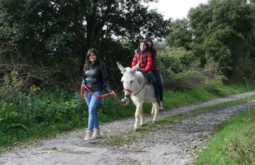 La Granja De Vitoria - Foto 40