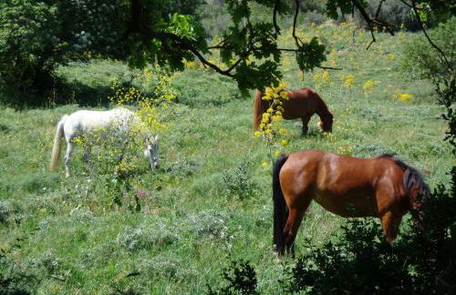 Agriturismo San Pietro - Foto 71