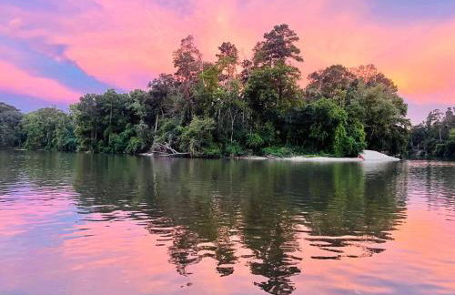 Secluded Riverside Oasis Private Deck Dock - Foto 26