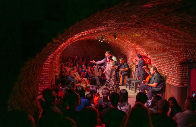 Espectáculo en la cueva histórica Essential Flamenco - Foto 2