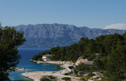 Vacation House "Pave" - Photo 4