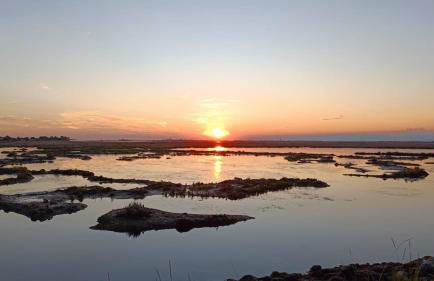 Villa magnolia - Foto 44