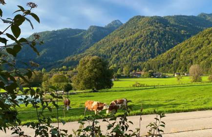 Apartment Bergnest - Photo 11