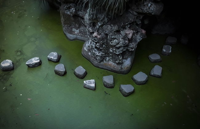 Quinta do Pé Descalço Guesthouse Sintra - Foto 54