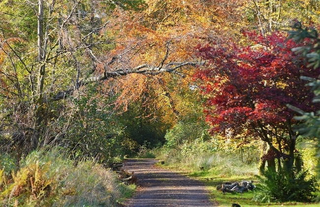 Finnich Cottages - Photo 45