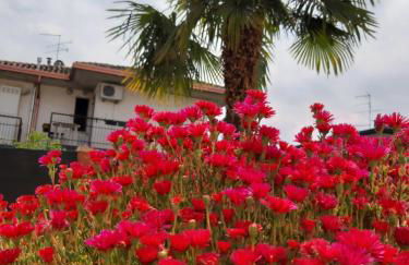 Villa Marianna Garda Lake - Photo 57