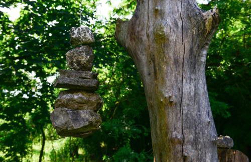 BioAgriturismo Vegan Campo di Cielo - Photo 76