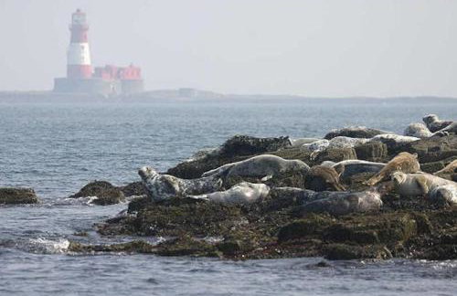 Luxurious & modern on-the-beach family retreat - Foto 59