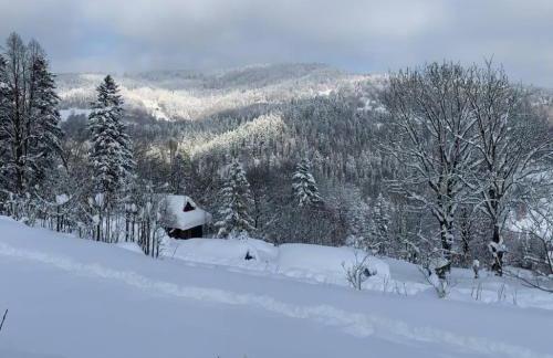 Pod Srebrzystym Świerkiem - Jacuzzi - Foto 55