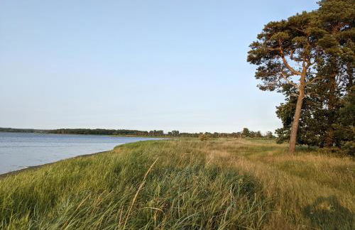 Salzhaff 4 You - Foto 13