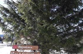 Duplex 59m2 - proche centre - balcon plein sud - Foto 20