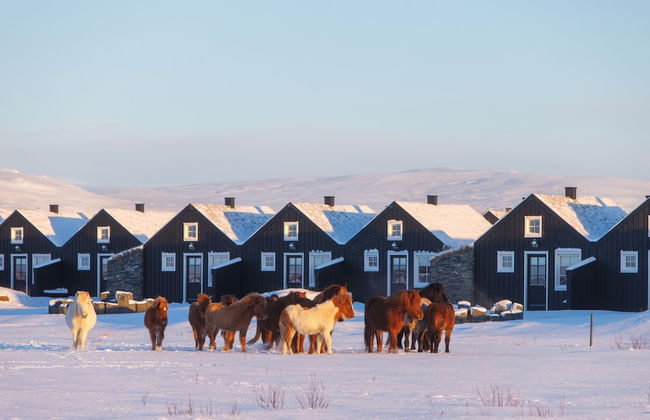 Torfhús Retreat - Foto 8