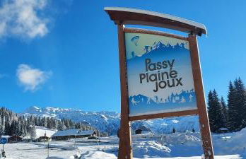 New Spacious Appart. Incredible view of Mt Blanc - Photo 17