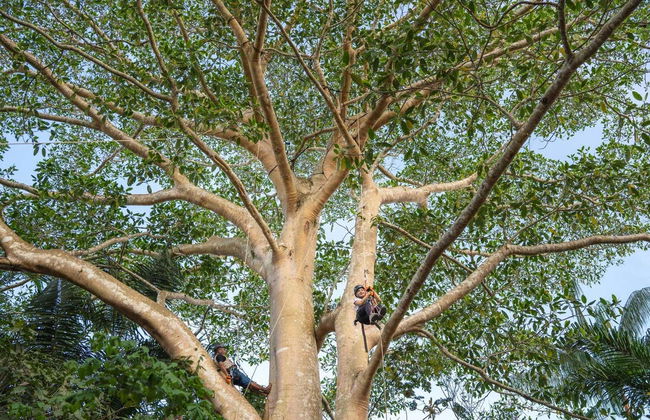 Excursão privada à reserva Tingana - Foto 8