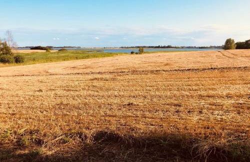 Ferienwohnung Zur Schoritzer Wiek - Foto 24
