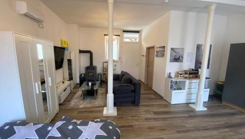 Schöne kleine Einraumwohnung mit Küche und Kamin in Holzthaleben - Foto 3