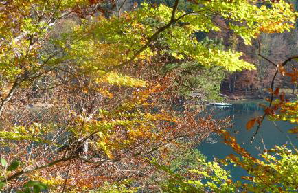 Ferienwohnung Allgäuer Landhaus Stocker in Hopferau-Füssen - Foto 46