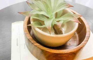 Renovated Bungalow Getaway - Foto 31