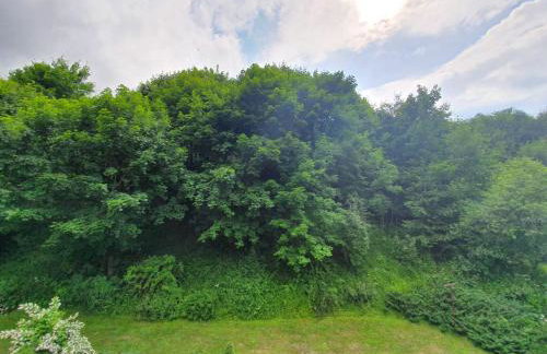 Bieszczadzki Zakątek - Foto 12