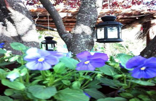 Naturaleza, Confort y Magnificas vistas a Sierra de Gata TR-CC-00490 - Foto 40