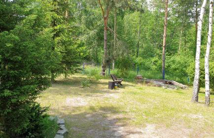 domki nad jeziorem, las, do 10 osób jezioro Wilczyńskie Budzisławskie - domek letniskowy osobno ogrodzony, ogrzewany mile widziane pieski, zwierzeta- wielkopolska, 62-550 Zygmuntowo gm Wilczyn - Photo 30