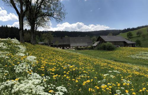 Biobetrieb Lippenhof - Photo 12