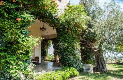 Antico Borgo Etneo Country Hotel - Foto 56