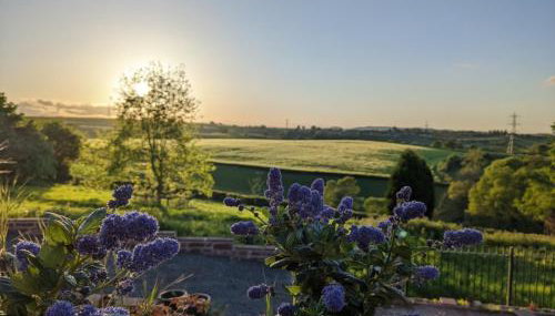 Thatch Close Cottages - Foto 4