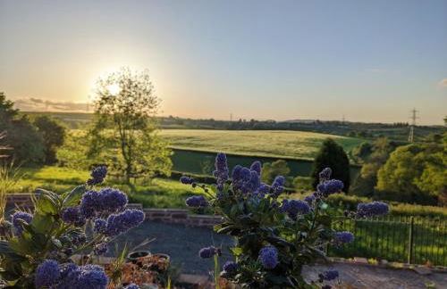 Thatch Close Cottages - Foto 4